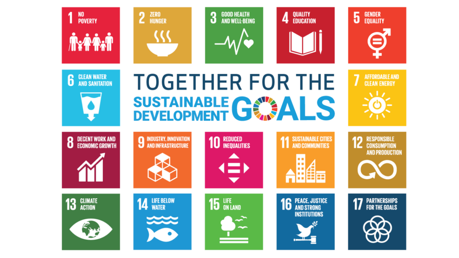 Duurzame ontwikkelingsdoelen