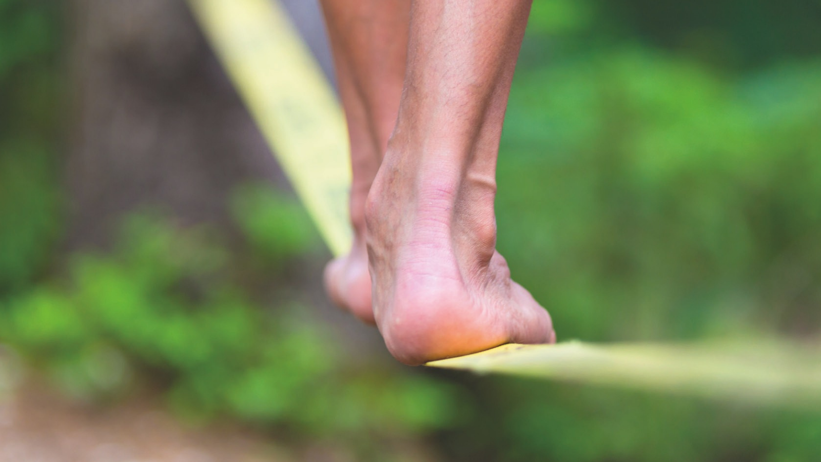 Column Laurens Schenk