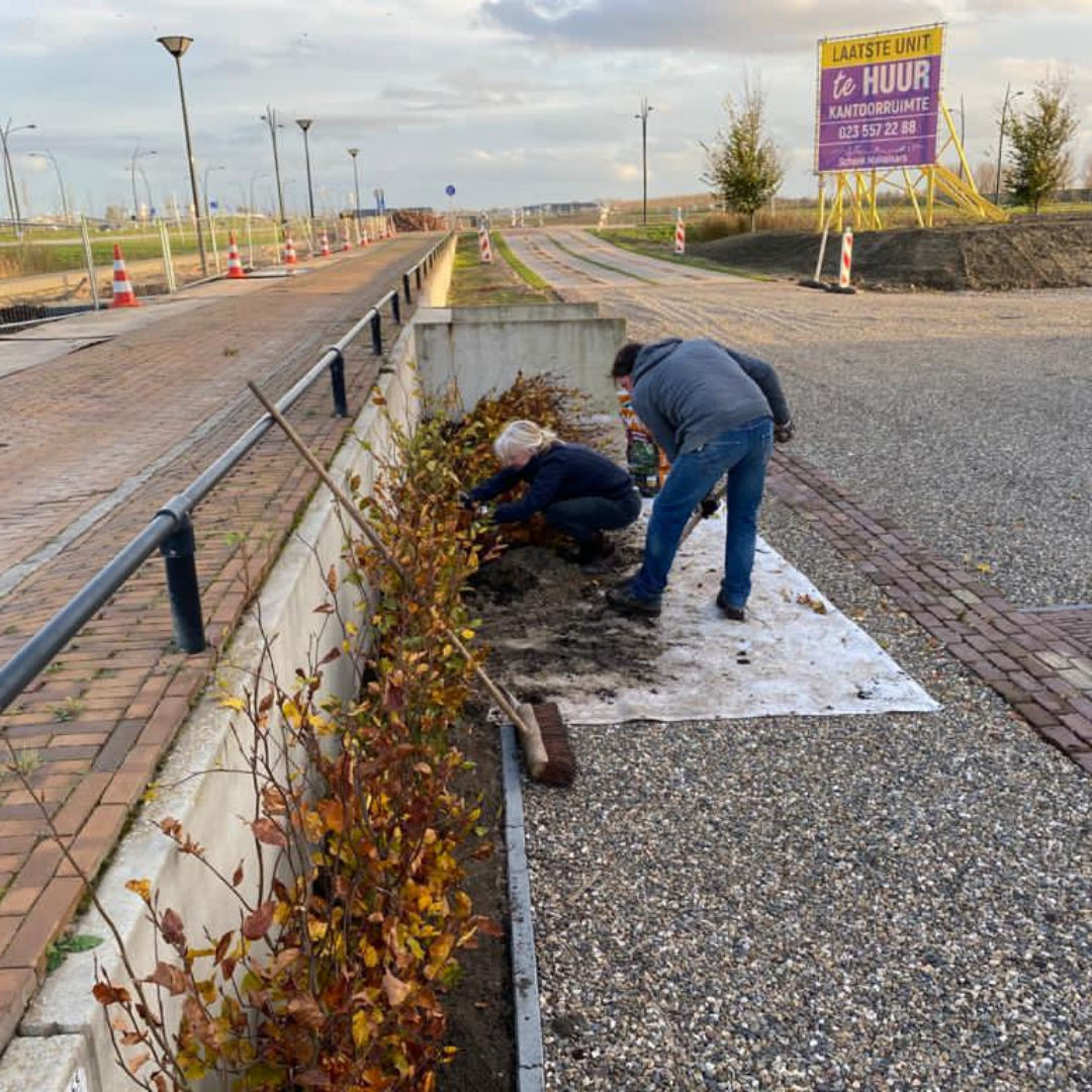 Nationale boomfeestdag 17 maart 2021